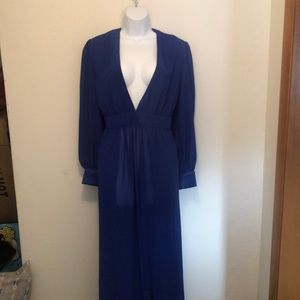 See through royal blue dress